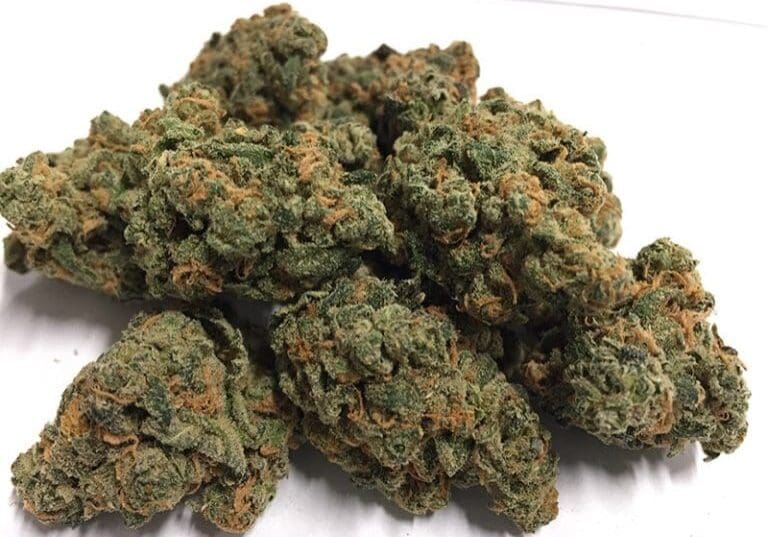 Blue Dream Blue Dream flower grown by High Desert Relief