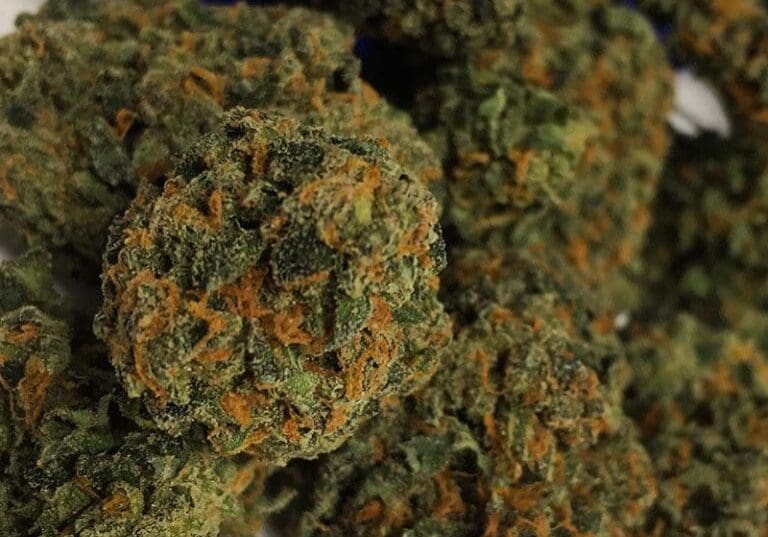 Skywalker Kush Skywalker Kush flower grown by High Desert Relief