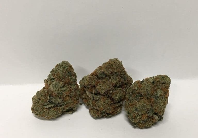 orange orange